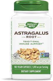 Astragalus