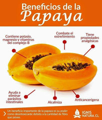Té de papaya